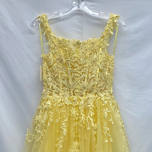 Ellie Wilde embroidered fit and flare sleeveless long Gown - Picture 7 of 11